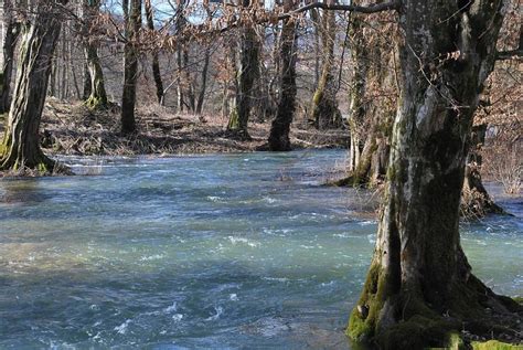 Planinsko Polje