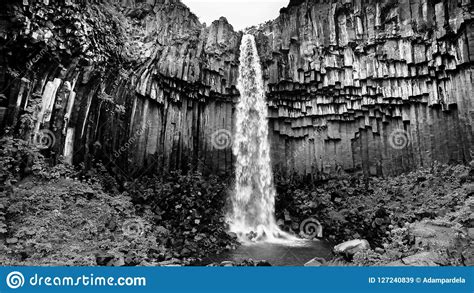 Svartifoss Scenic Waterfall On Iceland Stock Image Image Of