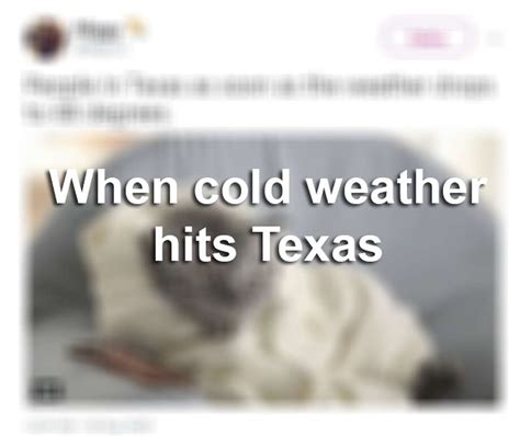 Texans Rejoice With Memes As Cold Front Sweeps Through The State San