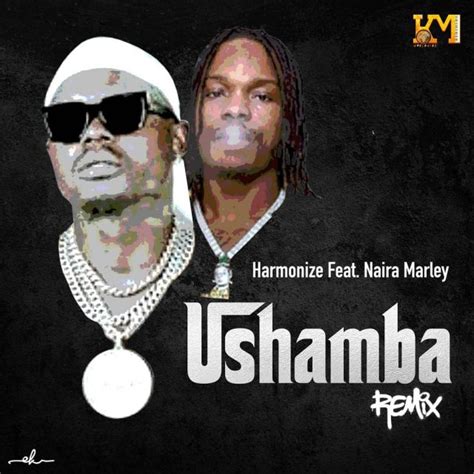 Audio Harmonize Ft Naira Marley Ushamba Remix Download Dj Mwanga