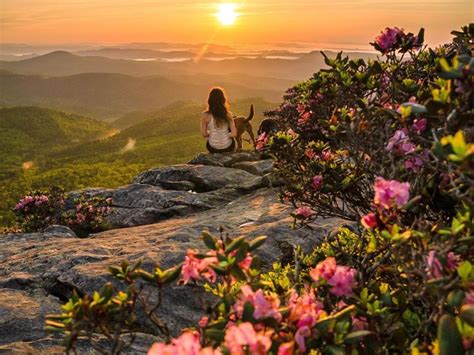Beautiful and Instagrammable Spring Spots Across North Carolina ...