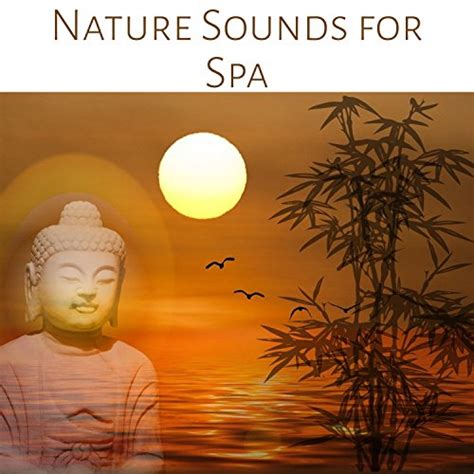 Nature Sounds For Spa Relaxing Ambiences For Wellness Massage And Reiki New Age
