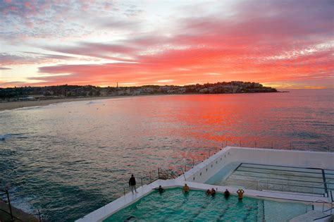 The Best Bondi Icebergs Brand Takeovers Ranked — Visit Bondi Beach