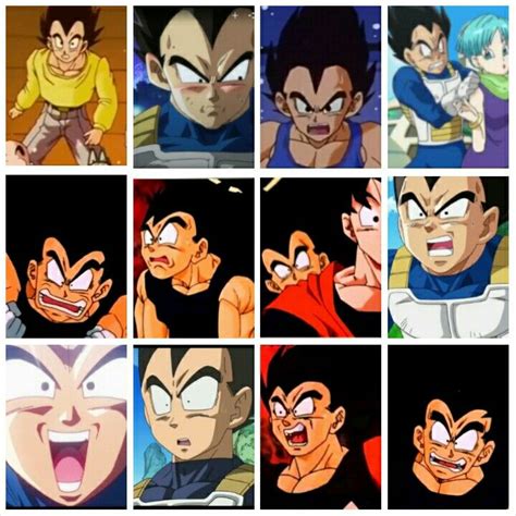 The Many Funny Faces Of Vegeta Anime Dragon Ball Super Dragon Ball
