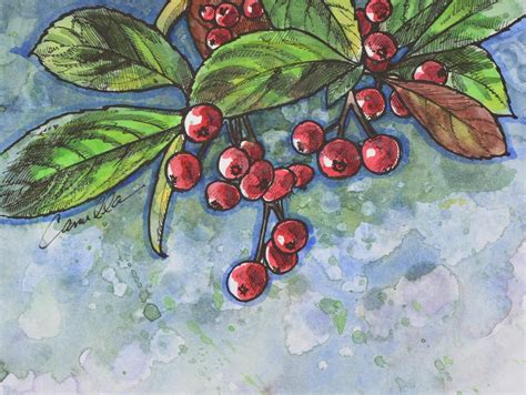 Watercolor Works Winter Berries