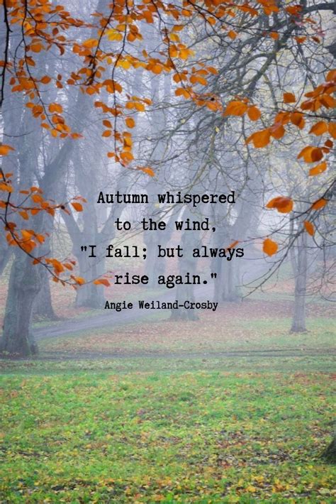 60 Autumn Quotes And Fall Quotes And Captions To Enchant And Deepen The