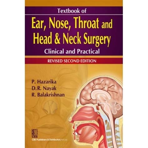 Anatomy Of Ear Nose Throat System