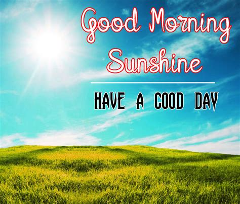 87 Good Morning My Sunshine Quotes Images Free Download