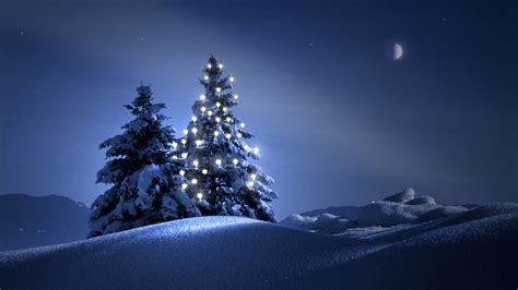 Beautiful Christmas Tree 2013 Lights Wallpaper Hd Desktop