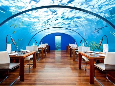 6 Underwater Restaurants In Maldives You Cant Afford To Miss