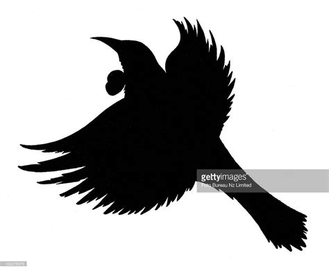 A Simple Black Silhouette Of The New Zealand Native Bird Tui Bird