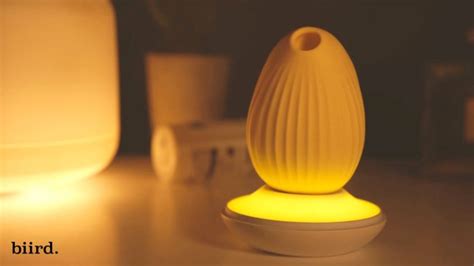 Sex Toy Launches That Looks Like A Mood Lamp To Hide During Sfw Times