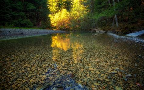 壁纸 阳光 树木 景观 森林 湖 性质 反射 石头 冷静 早上 河 夏季 荒野 池塘 流 鹅卵石 秋季