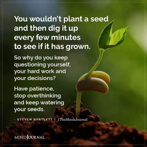 You Wouldnt Plant A Seed Steven Bartlett