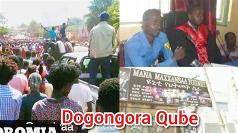Obnoduu Hatatama Dogongora Qube Afaan Oromo Jan25 2018 Youtube