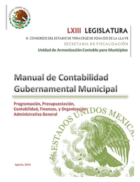 Pdf Manual De Contabilidad Gubernamental Municipal Marcelo M N