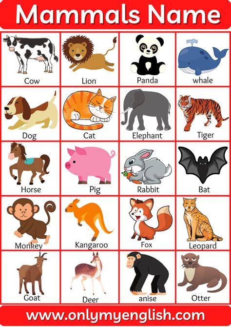 Mammals Animals Chart