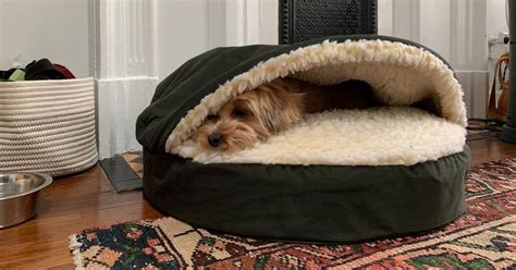 21 Best Dog Beds According To Dog Experts 2021 The Strategist
