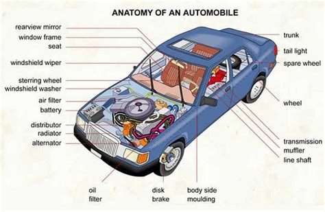 The Basic Mechanics Of A Car By Myimprov