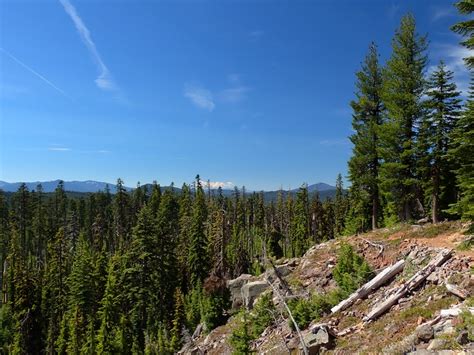 Finding The Wickiup Trail Sky Lakes Wilderness 24 Jun 2020 Boots On