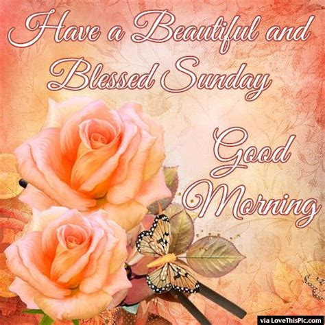Good Morning Wishes On Sunday Pictures Images Page 6