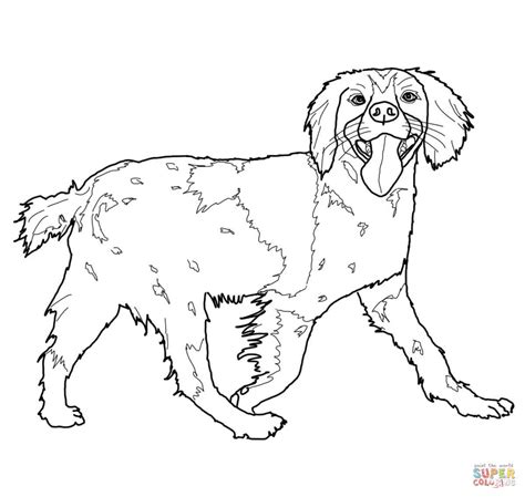 Brittany Coloring Pages Coloring Pages