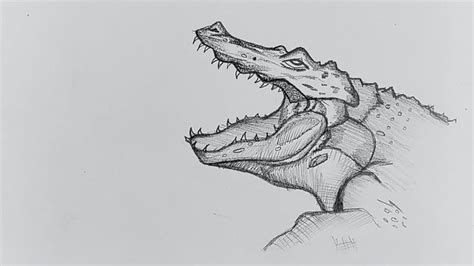 How To Draw Crocodile Crocodile Face Drawing Realistic Crocodile