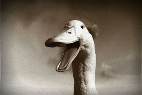 00:35 i think i sound pretty close to the actual duck.vote for me! Aflac duck voice: Got quack? Job's open. - CSMonitor.com