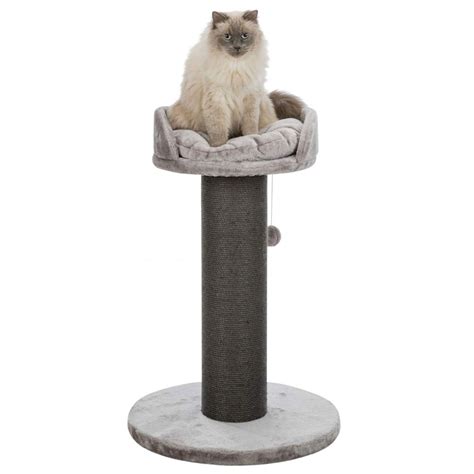 Tall Cat Scratching Post Bed For Big Cats