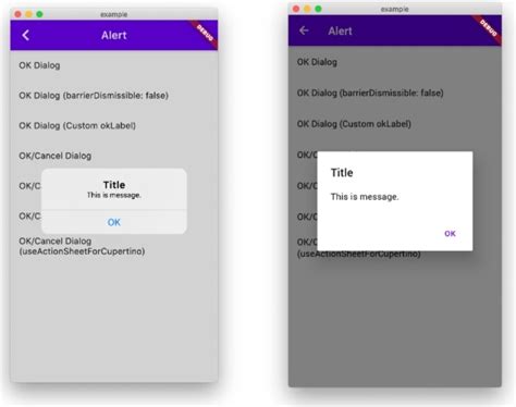 The Best Dialog Packages For Flutter In 2022 Made With Flutter Gambaran