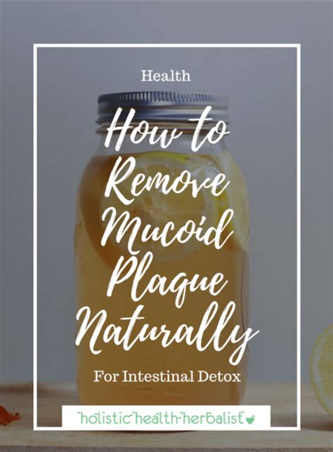 The term mucoid plaque, coined by naturopath richard anderson, is the product of years of accumulated waste and mucus solidifying and adhering to the walls of organs. How to Remove Mucoid Plaque Naturally | Mucoid plaque ...