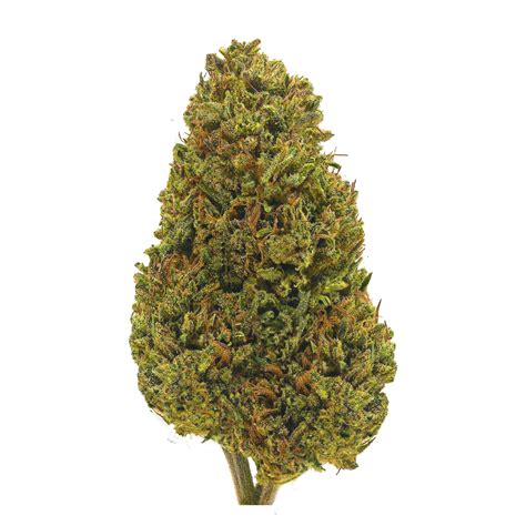 Cherry Wine Marijuana Strain Information & Reviews | AllBud