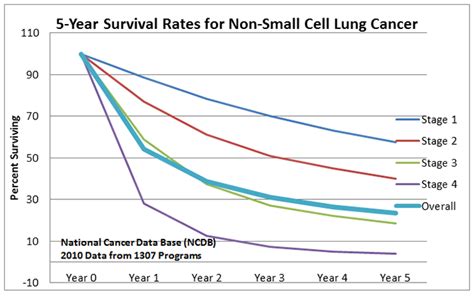 Lung Cancer Life Expectancy Chart Best Picture Of Chart Anyimageorg