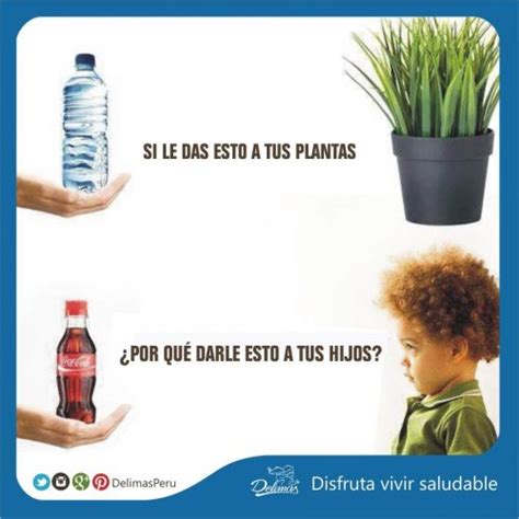 Consumo Agua Niños ¿cuánta Agua Deben Beber Al Día Blog Vive Sano