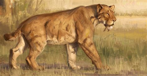 Smilodon Sabertooth Cat By Jonathan Kuo Prehistoric Animals