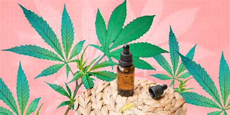 Una Guía Del Cannabis ¿qué Es El Cbd El Thc Y El Cbg