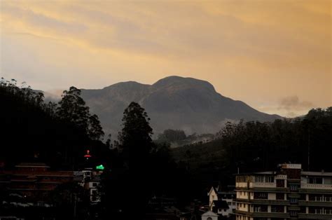 Trek To The Anamudi Peak Munnar What To Expect Timings Tips