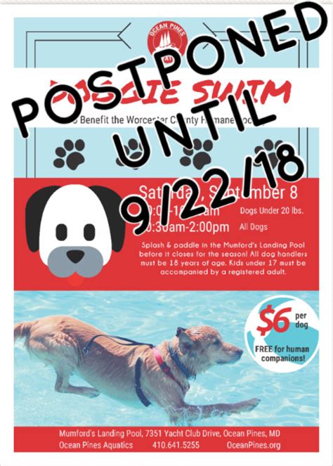 Doggie Swim Worcester County Humane Society No Kill Shelter