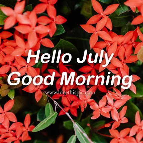 Red Flowers With Green Leaves Quotes Quote Month July Hello July