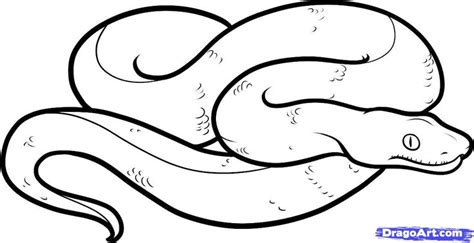 Snake coloring pages realistic at getdrawings free download. Realistic Snake Coloring Pages - AZ Coloring Pages ...