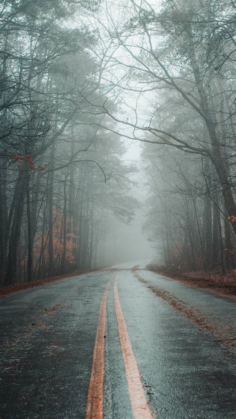 Autumn Forest Foggy Road Iphone Wallpapers Iphone Wallpapers