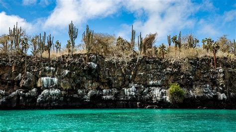 Galapagos Islands Wallpapers Top Free Galapagos Islands Backgrounds
