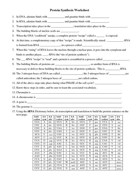 The process that makes a polypeptide 4. Biology Worksheet Category Page 1 - worksheeto.com