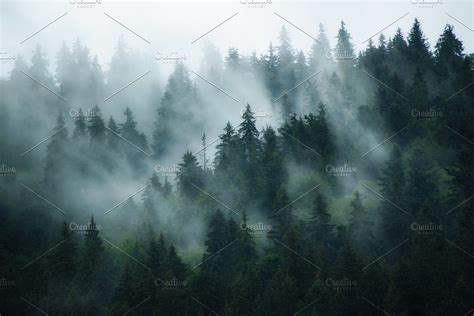 Misty Mountain Landscape High Quality Nature Stock Photos ~ Creative