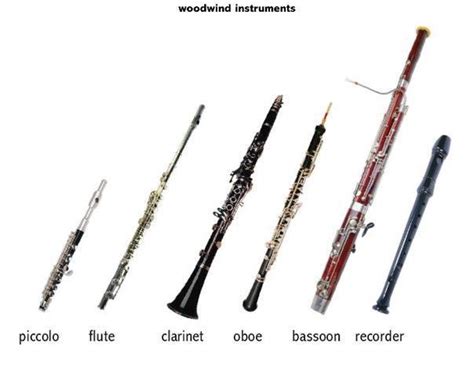 Woodwind Instruments Woodwind Instruments Woodwind Flute Instrument
