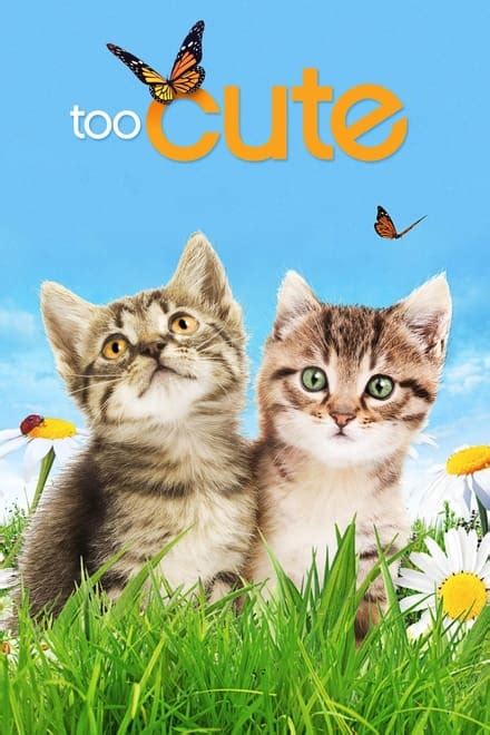 too cute tv series 2011 2016 posters — the movie database tmdb