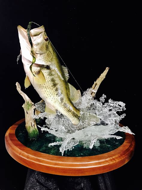 Fish Taxidermy World Award Winning Artist Vance Montgomery