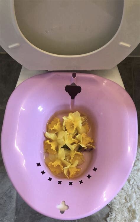 Vagina Toilet Telegraph