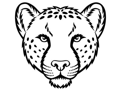 Cheetah Head Drawing At Explore Collection Of