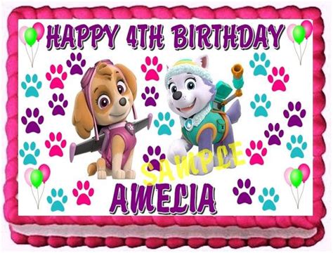 Paw Patrol Everest And Skye Edible Cake Topper Birthday Party
